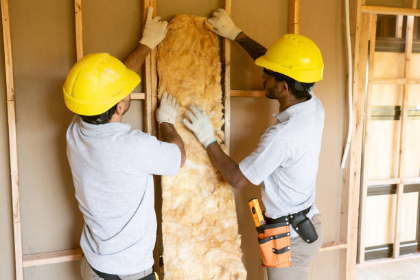 Best Insulation for New Construction  in Owings Mills, MD