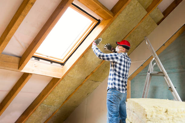 Best Insulation for Existing Homes  in Owings Mills, MD